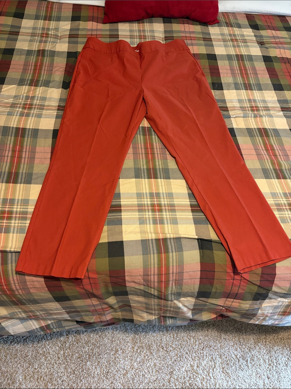 women’s Classic Straight-Leg Pants in Rust